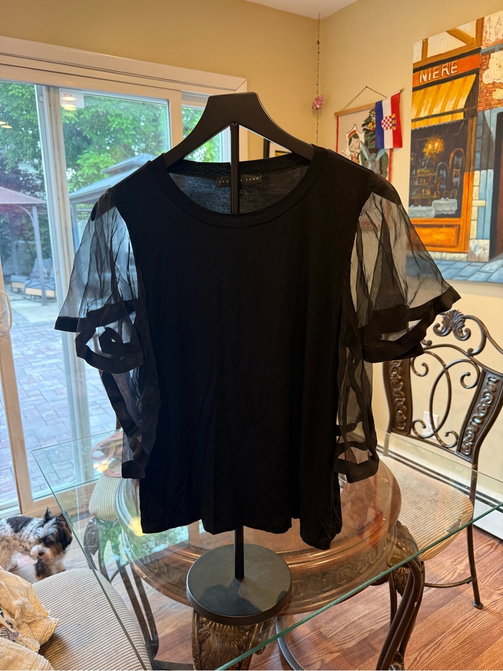 Endless Rose Black Sheer Sleeve Women's Top